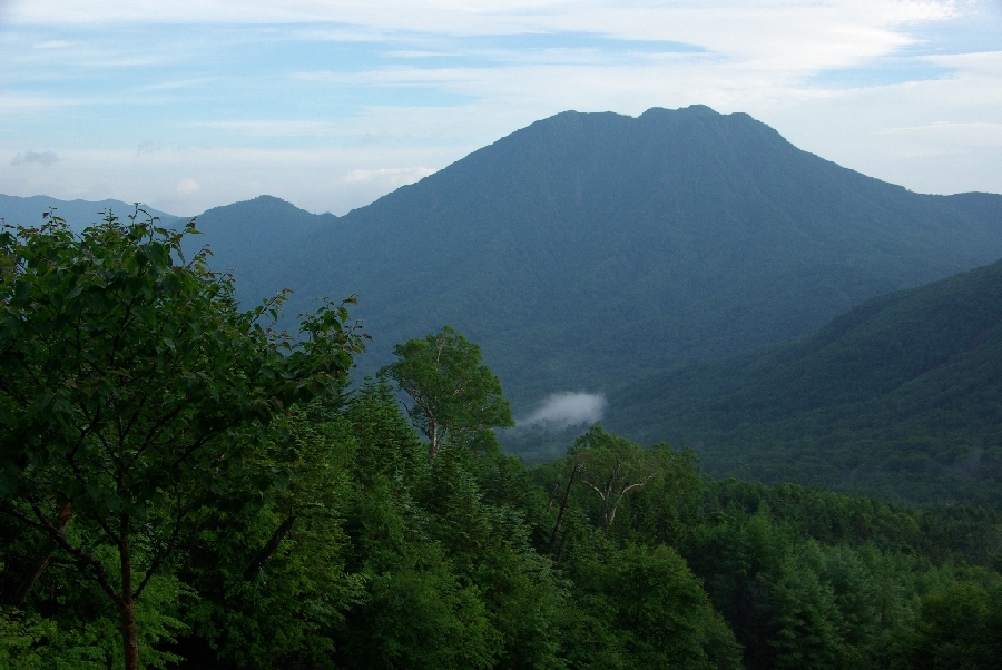 b0062024_1585965.jpg