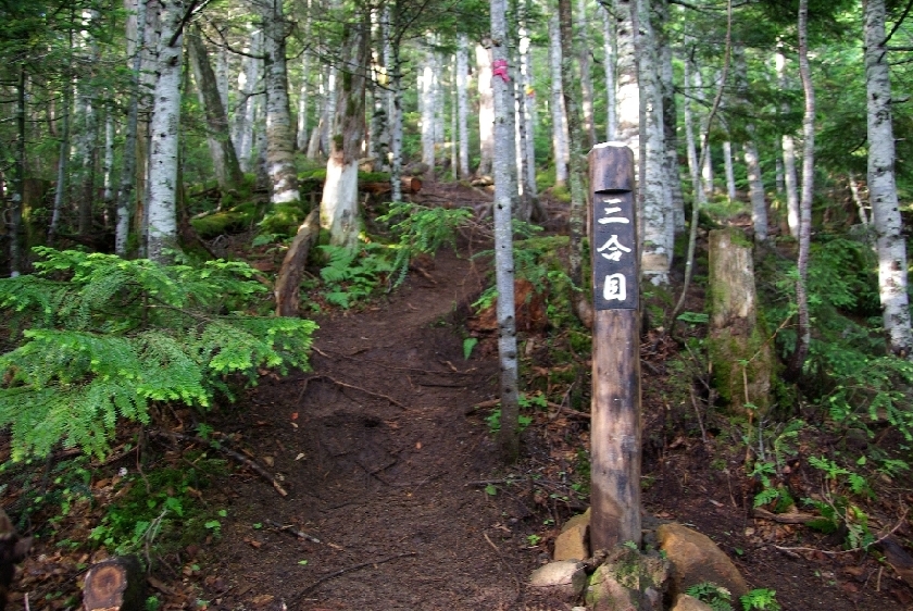 b0062024_221551.jpg