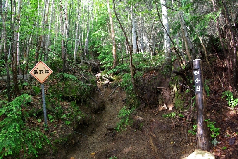 b0062024_253878.jpg