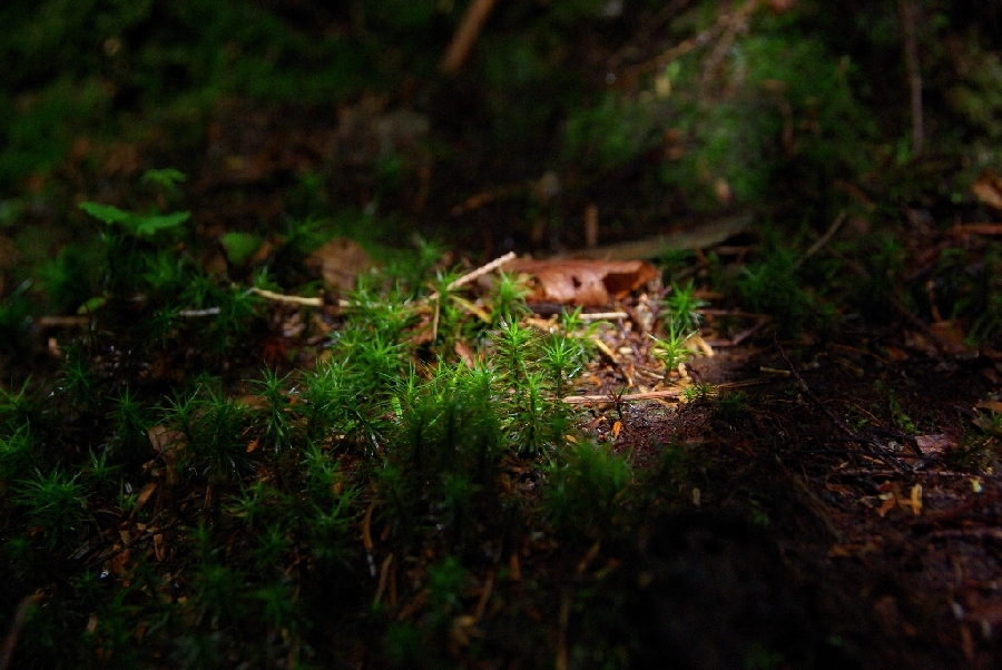 b0062024_26443.jpg