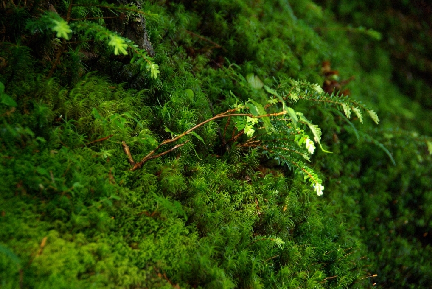 b0062024_273479.jpg