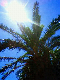 a0101525_14494082.jpg