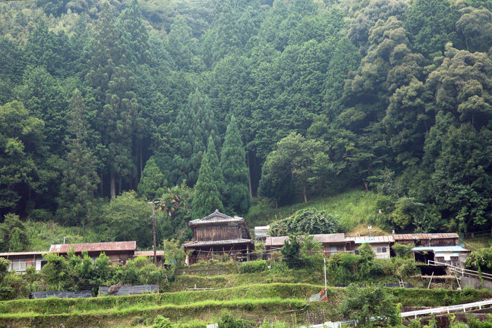 d0147530_4155249.jpg