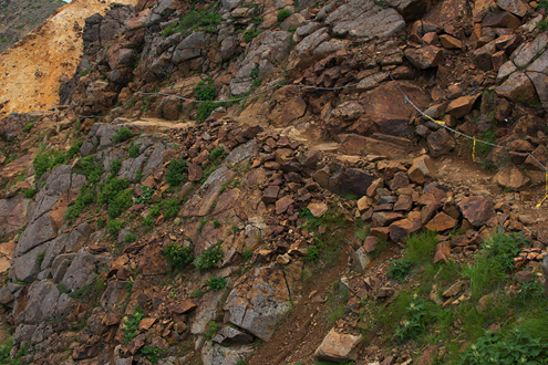 c0014035_166434.jpg