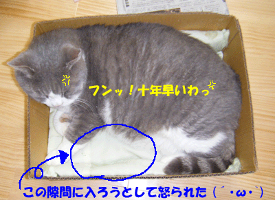 f0008935_0441456.gif