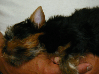 f0008935_0452129.gif