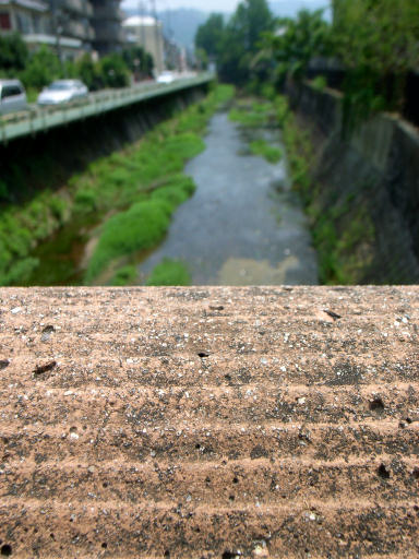 c0032138_14525240.jpg
