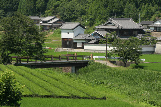c0032138_15155843.jpg