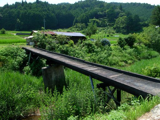 c0032138_1572971.jpg