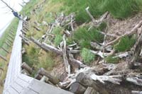 f0014943_10461861.jpg