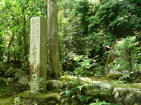 c0057946_19424874.jpg