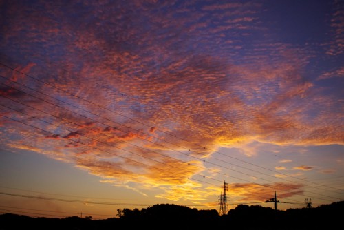 c0167449_6244561.jpg