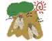 a0031155_7495423.gif