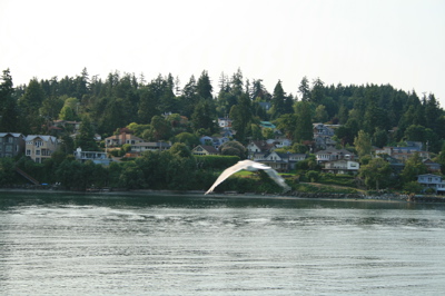f0100660_7171147.jpg