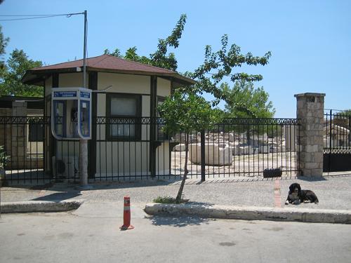 f0037264_20322560.jpg