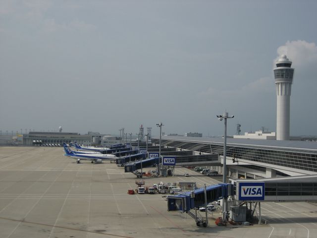 f0100871_7341384.jpg