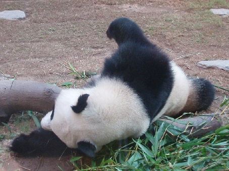 b0092475_20293721.jpg