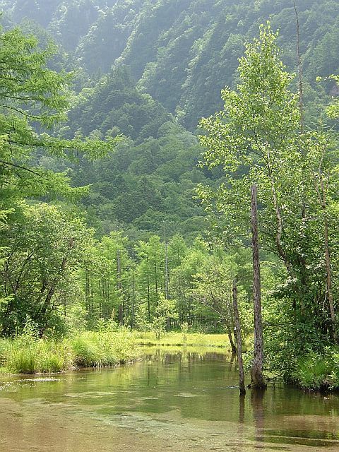e0022175_11323647.jpg