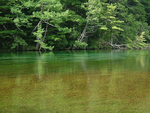 e0022175_11494133.jpg