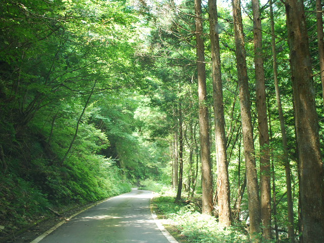 e0131676_1004377.jpg