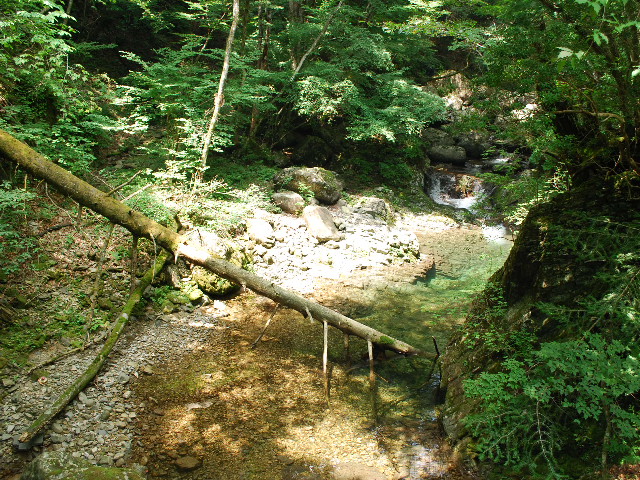 e0131676_1022036.jpg