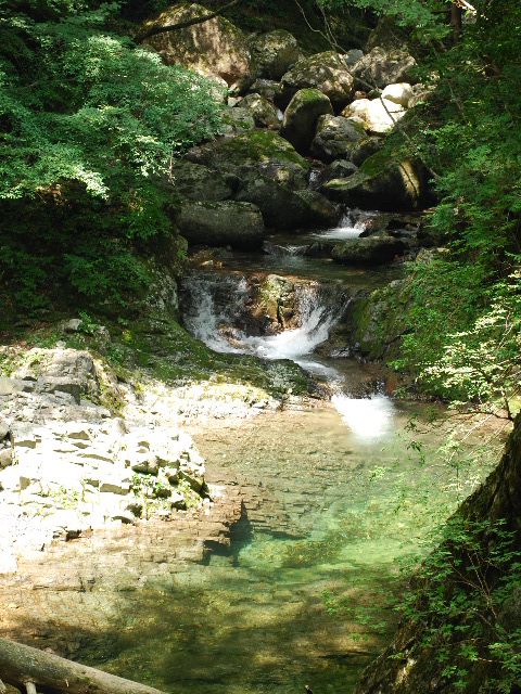 e0131676_1032663.jpg