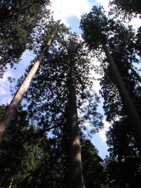 b0142380_22452558.jpg