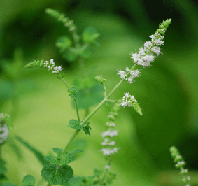 b0159780_23585481.gif