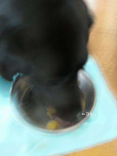b0000885_1132283.jpg