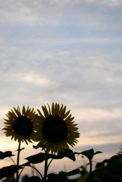 c0156789_22403029.jpg