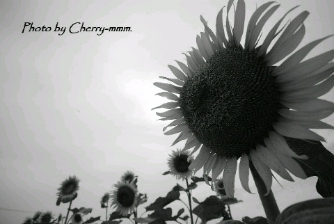c0156789_22403033.jpg