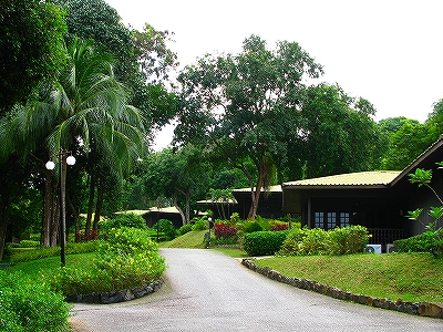 d0020791_2303690.jpg