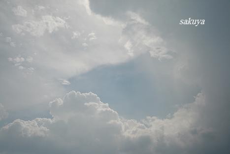 e0122194_19086.jpg