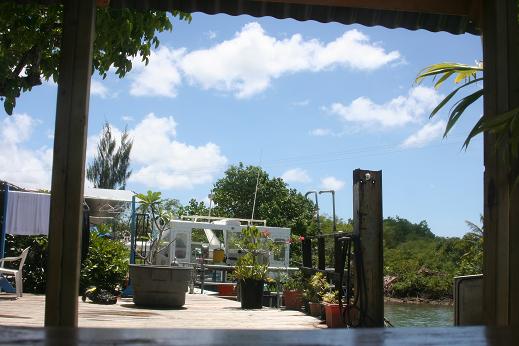 b0144497_15361626.jpg