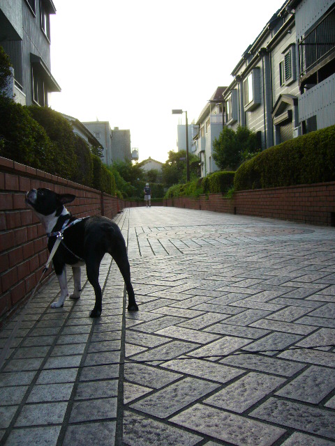 d0070702_6554686.jpg
