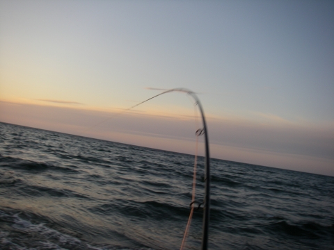 d0051707_17593945.jpg