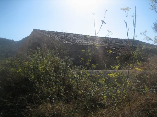 b0064411_18124294.jpg