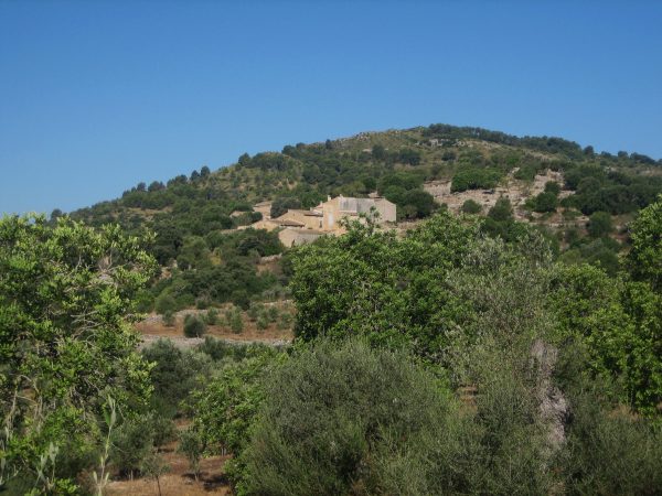b0064411_1842450.jpg