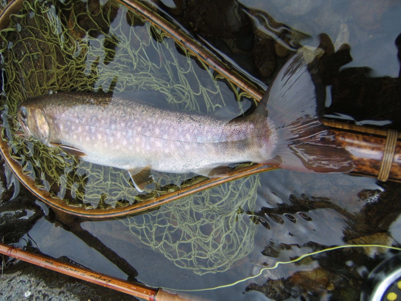 f0079411_200657.jpg