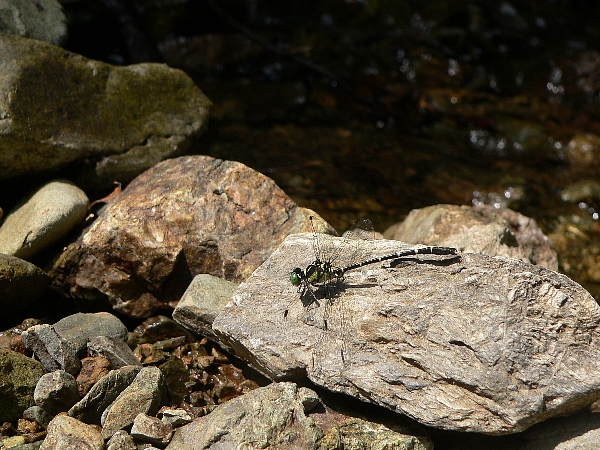 e0002314_22392780.jpg
