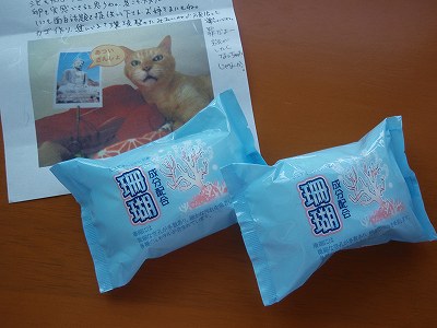 c0145016_2056523.jpg