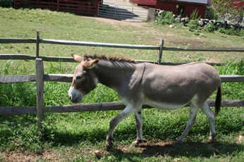 f0151222_1312032.jpg