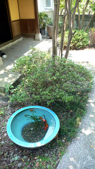 f0060424_8252745.jpg