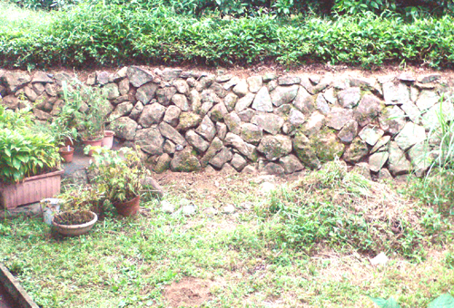f0060424_8321162.jpg
