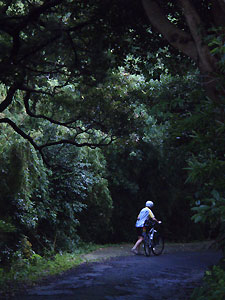 d0023725_21544065.jpg