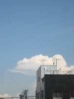 d0107326_040451.jpg