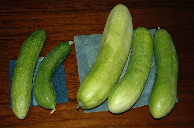 a0017634_5373150.jpg
