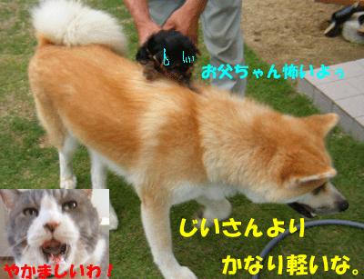 f0008935_0275262.gif
