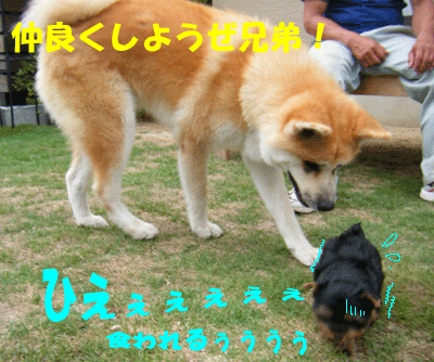 f0008935_028626.gif