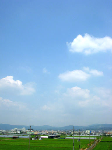 c0032138_1512399.jpg